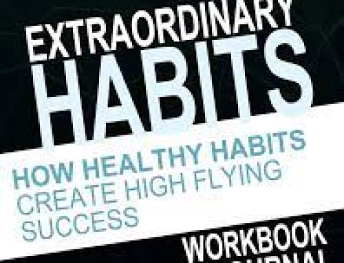 eWorkbook & Journal: How Healthy Habits Create High Flying Success
